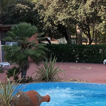 Familial Entre Les Pins Σαλέ