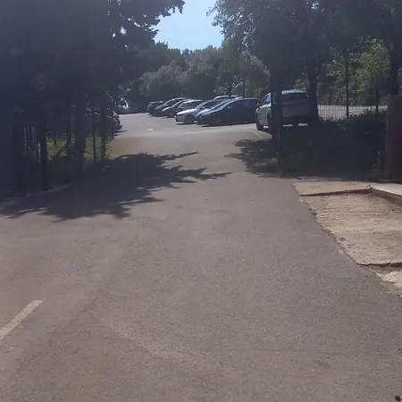 Chalé Familial Entre Les Pins *